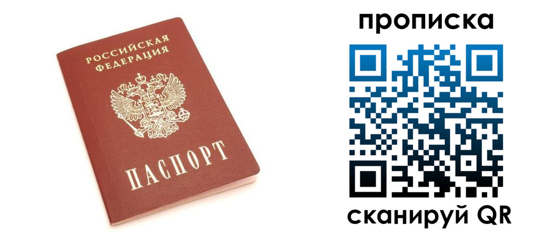 прописка 2025 в Краснознаменске